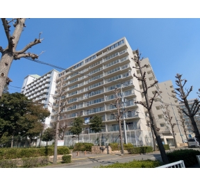 藤和しらさぎハイタウンB棟